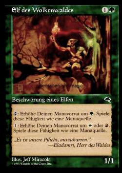 Elf des Wolkenwaldes (Skyshroud Elf)